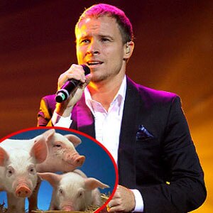 Brian Littrell, Pigs