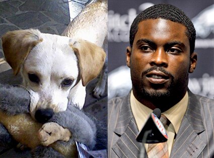 Charlie Casablanca, Michael Vick