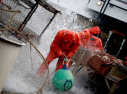 The Deadliest Catch