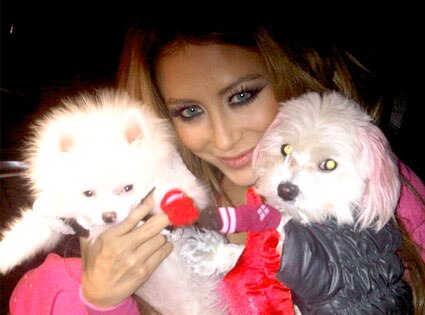 Aubrey O'Day, Twitter