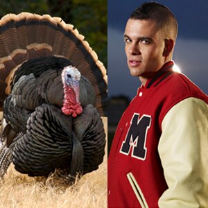 Turkey, Mark Salling, Glee