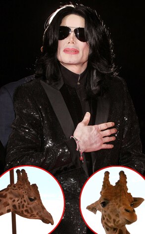 Michael Jackson, Jambar Jr, Rambo, Giraffes