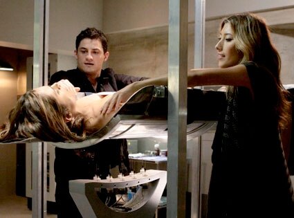 Dollhouse, Enver Gjokaj, Dichen Lachman