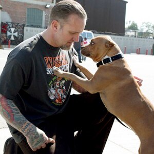 Jesse James, Twitter