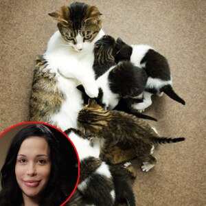 Nadya Suleman, Peta Octomom Ad