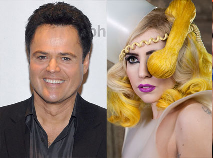 Lady Gaga's Telephone has pushed all of Donny Osmond's buttons