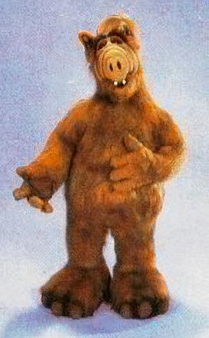 Alf