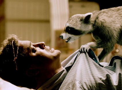 Brendan Fraser, Furry Vengeance
