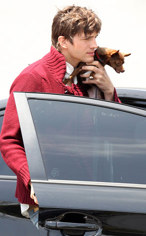 Ashton Kutcher
