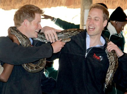 Prince Harry, Prince William