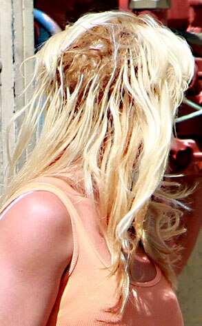 Guess Who?