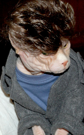 http://images.eonline.com/eol_images/Entire_Site/2010712//293.creepy.cat.lc.081210.jpg