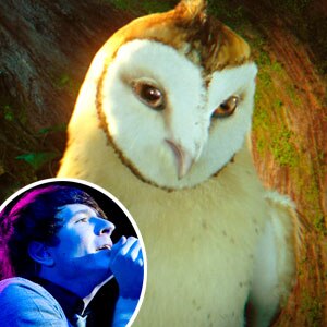 Legend of the Guardians: The Owls of Ga'Hoole, Owl City