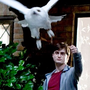 Harry Potter And The Deathly Hallows