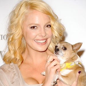 Katherine Heigl