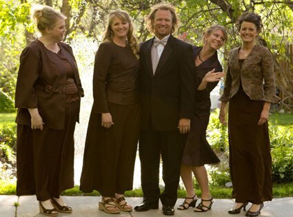 Sister Wives