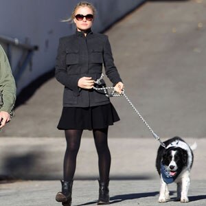 Stephen Moyer, Anna Paquin