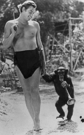 Johnny Weissmuller, chimpanzee Cheetah