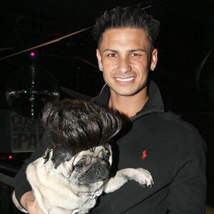 Pauly D, Paul Delvecchio, Paulie D
