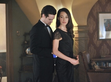 Nikita, Maggie Q, Shane West