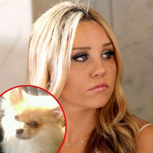 Amanda Bynes