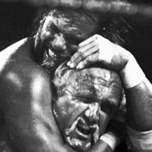 Randy Macho Man Savage, Hulk Hogan