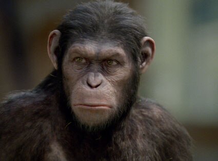 Rise Of The Planet Of The Apes, Tom Felton
