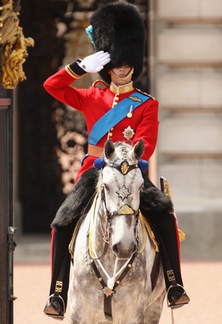 prince william horse kate middleton. Prince William