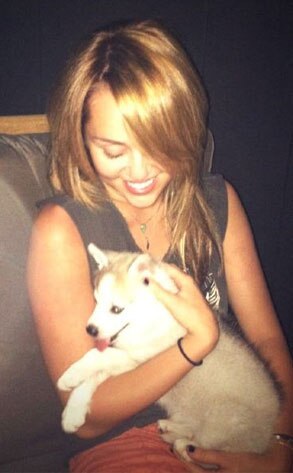 Miley Cyrus, Twitter