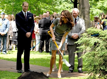 william and kate middleton. Prince William, Duke of Cambridge and Catherine, Duchess of Cambridge, Kate