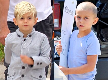 Kingston Rossdale