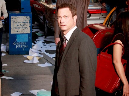 Gary Sinise, CSI