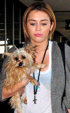 Miley Cyrus