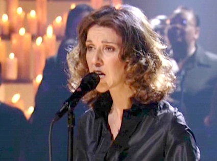 Celine Dion, Tribute to Heroes