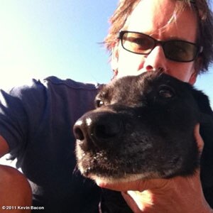 Kevin Bacon, WhoSay
