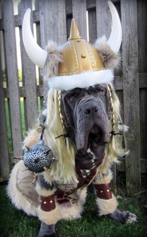 Ricky Gervais, Rufio