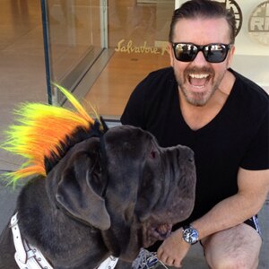 Ricky Gervais, Rufio