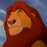 Soup Lion King 200X200