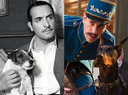 Uggie, Blackie