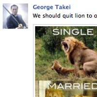 Soup Facebook Lions X3