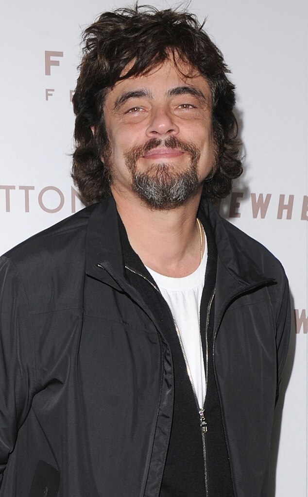 Benicio del Toro