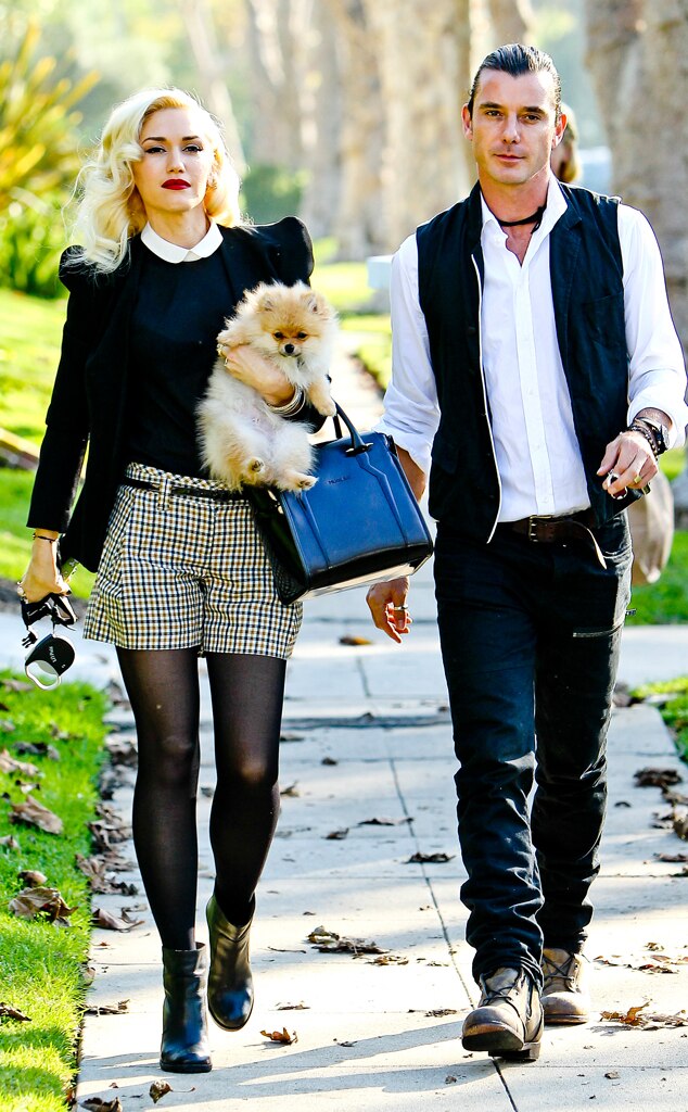 Gwen Stefani, Gavin Rossdale