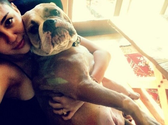 Miley Cyrus cachorro