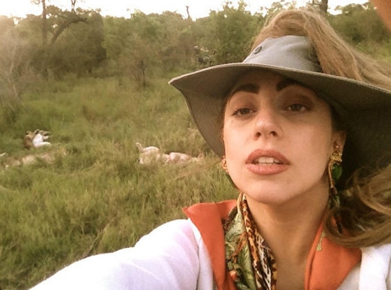 Lady Gaga Twitter