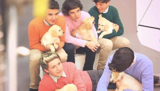 One Direction