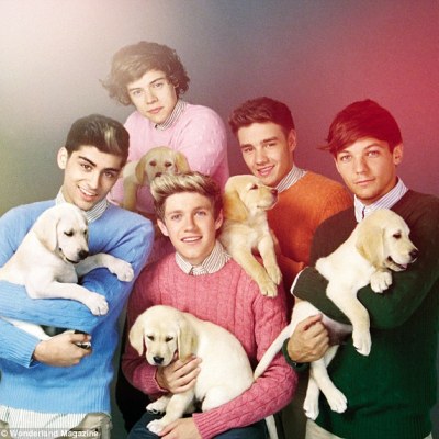 One Direction