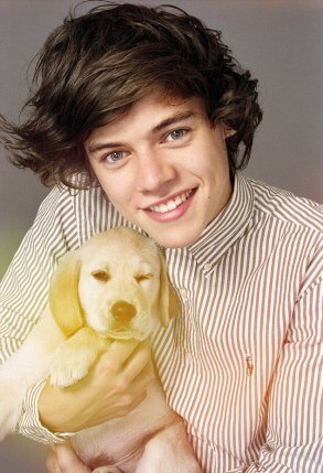 One Direction