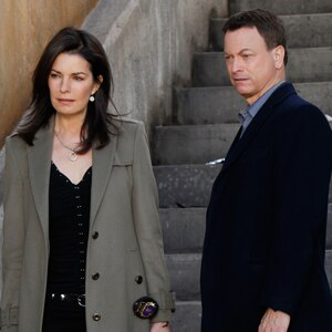 Sela Ward, Gary Sinise, CSI NY