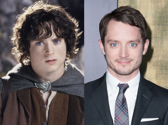 Elijah Wood, Lord of the Rings
