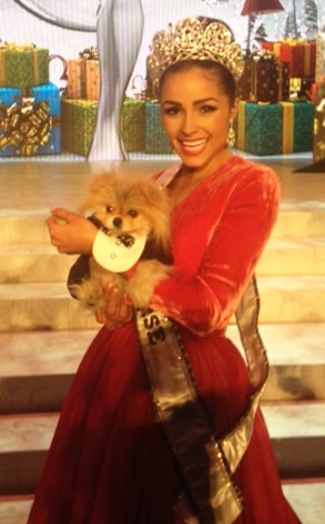 Olivia Culpo,Giggy
